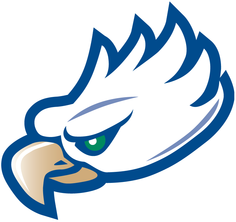Florida Gulf Coast Eagles 2002-Pres Partial Logo iron on transfers for fabric